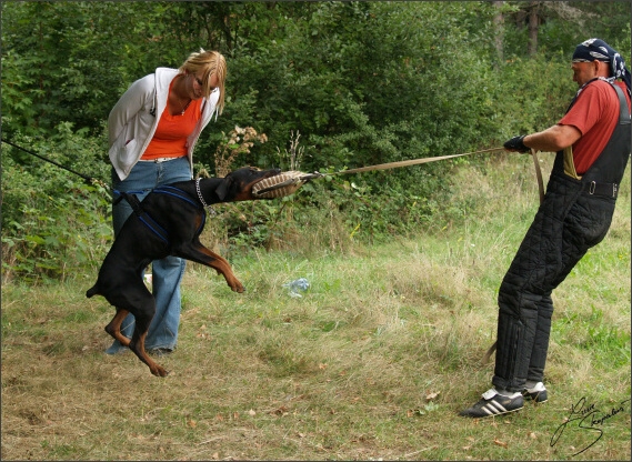 Summer training camp - Jelenec - 2007